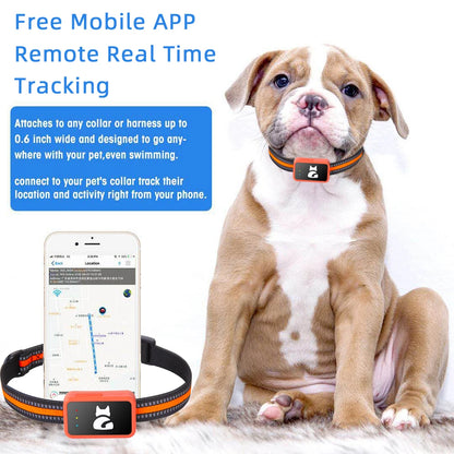 4G Pet GPS Tracker Collar with Health Monitor