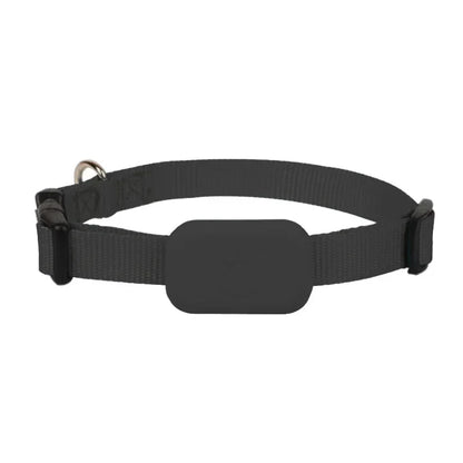 Waterproof Dog GPS Tracking Collar