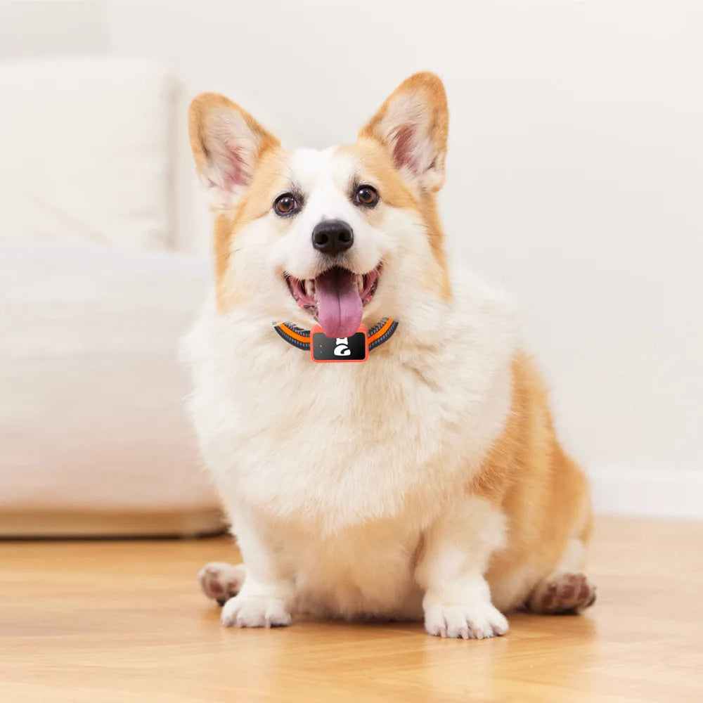 4G Pet GPS Tracker Collar with Health Monitor