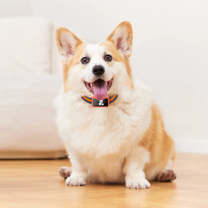 4G Pet GPS Tracker Collar with Health Monitor