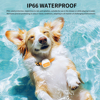 4G Pet GPS Wireless Fence Collar