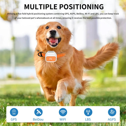 4G Pet GPS Wireless Fence Collar