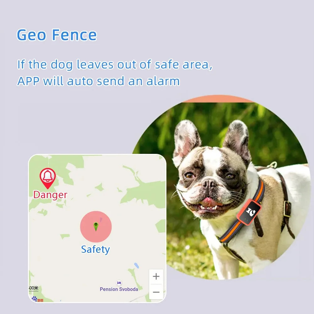 4G Pet GPS Tracker Collar with Health Monitor
