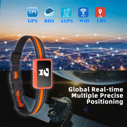 4G Pet GPS Tracker Collar with Health Monitor