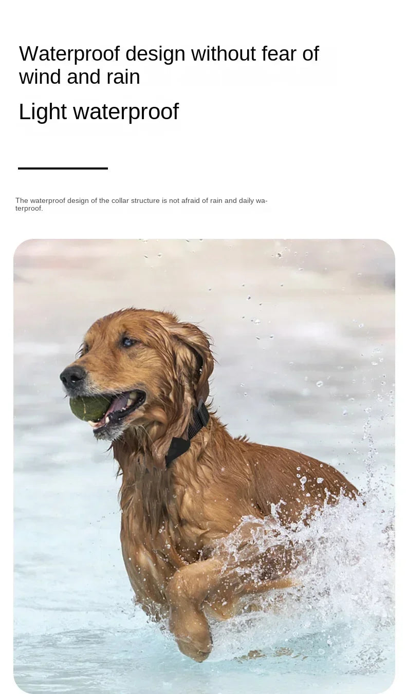 Waterproof Dog GPS Tracking Collar